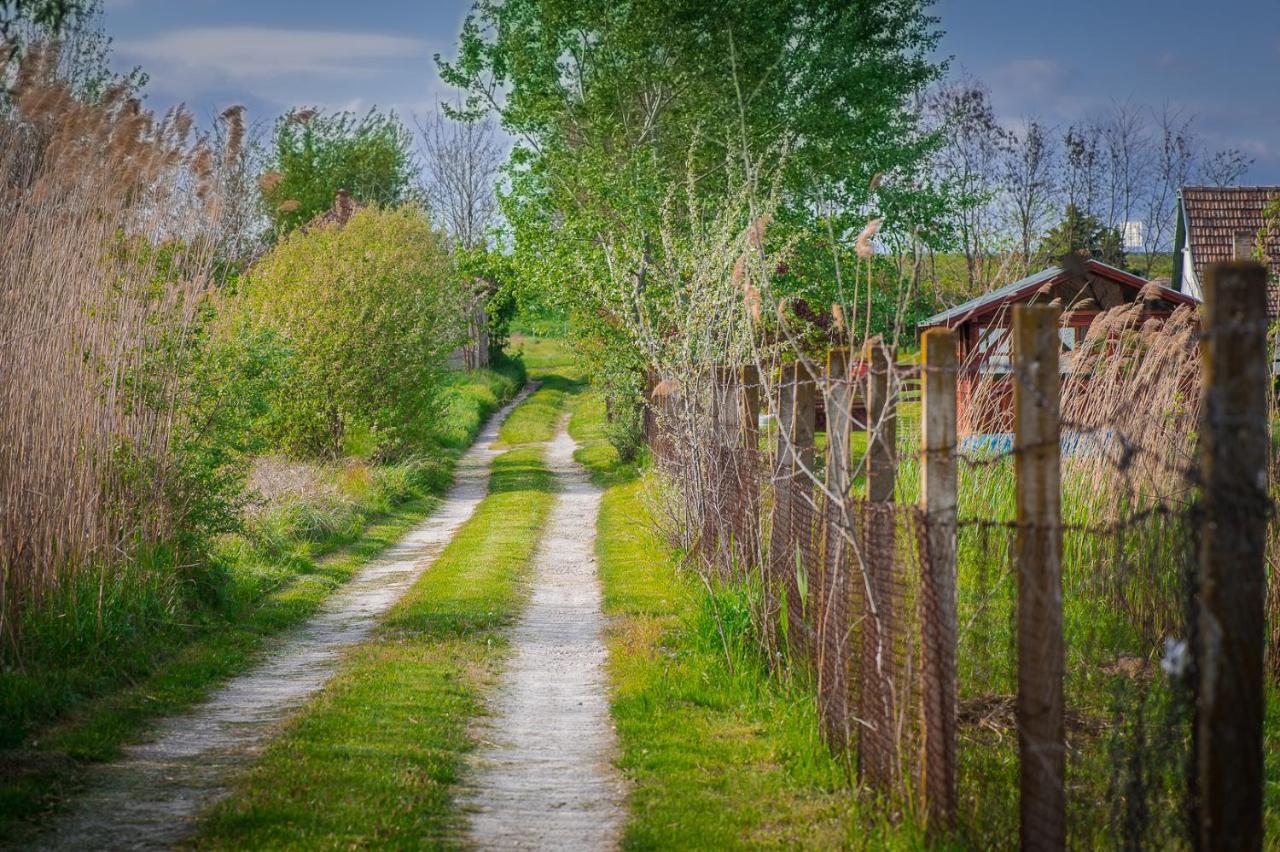 Etno Salas - Etno Ranch - Seosko Turisticko Domacinstvo Villa Palics Kültér fotó