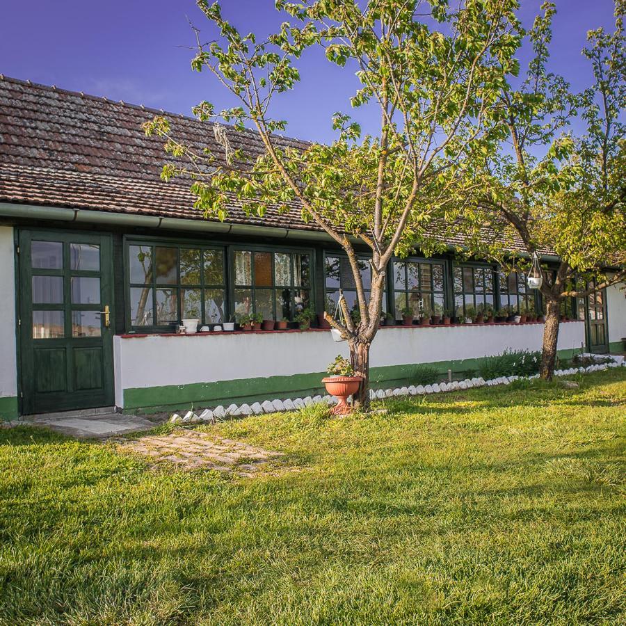 Etno Salas - Etno Ranch - Seosko Turisticko Domacinstvo Villa Palics Kültér fotó