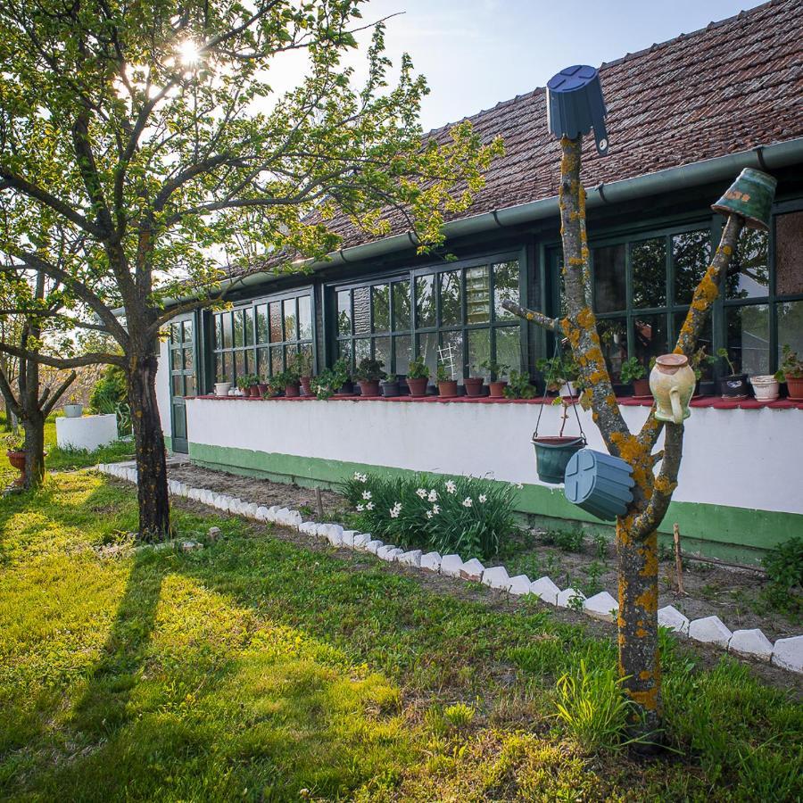 Etno Salas - Etno Ranch - Seosko Turisticko Domacinstvo Villa Palics Kültér fotó