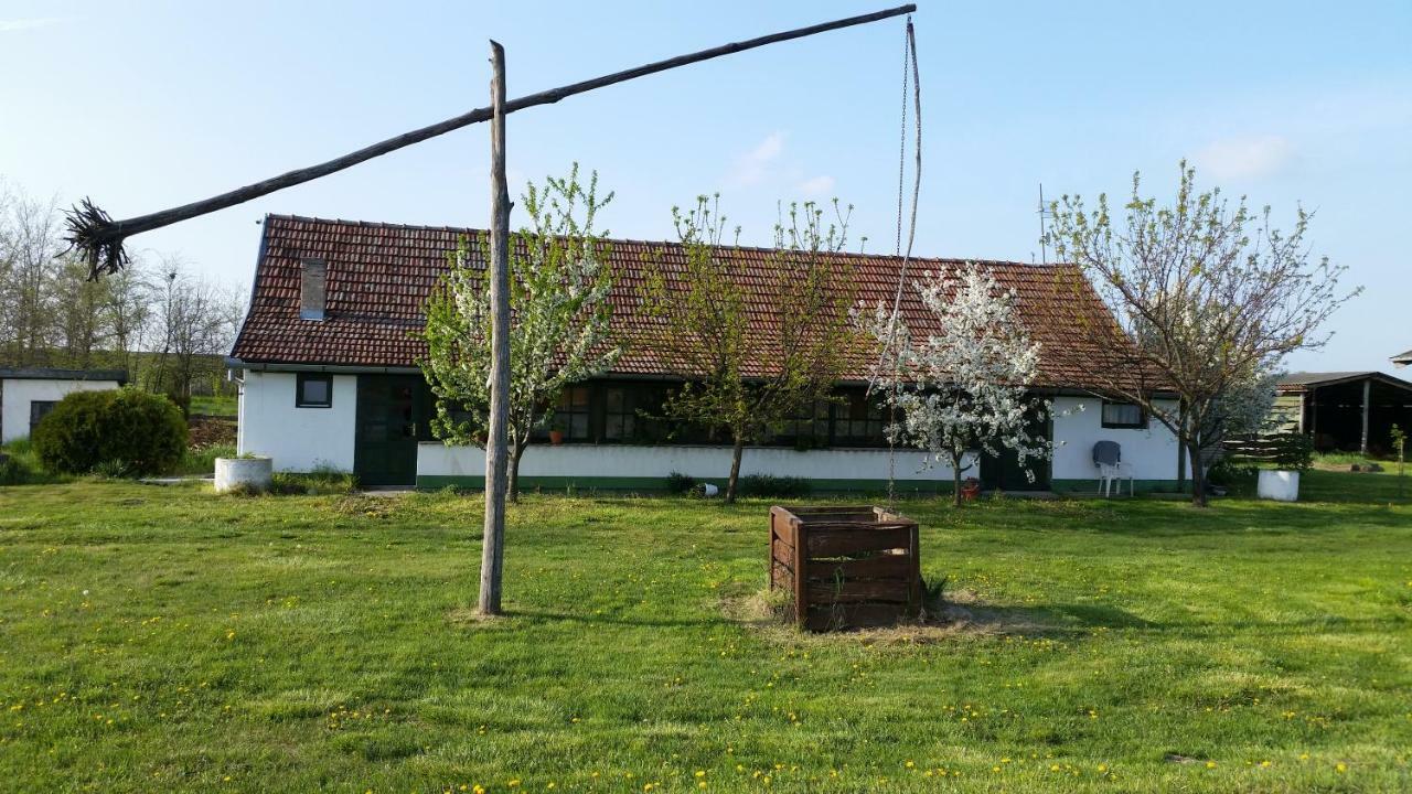 Etno Salas - Etno Ranch - Seosko Turisticko Domacinstvo Villa Palics Kültér fotó